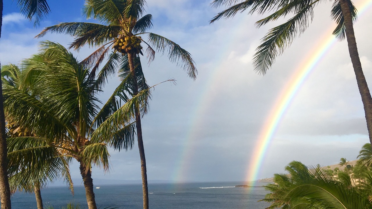 Photo of Others in Maalaea