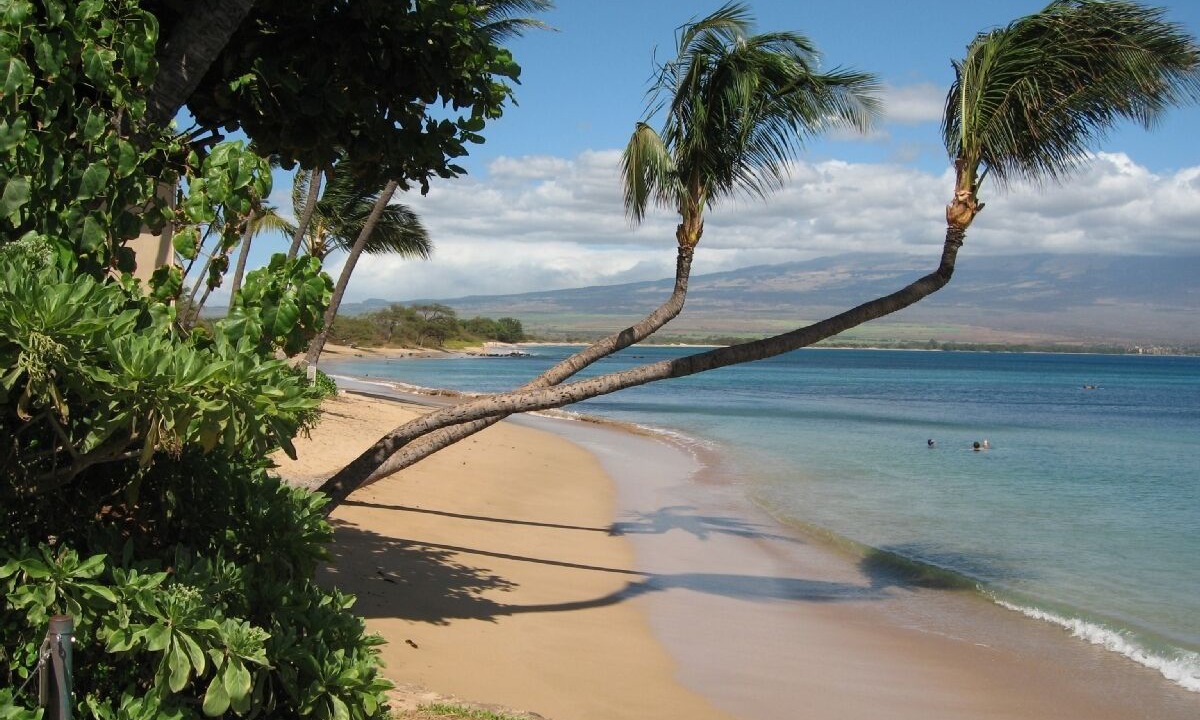 Photo of Others in Maalaea