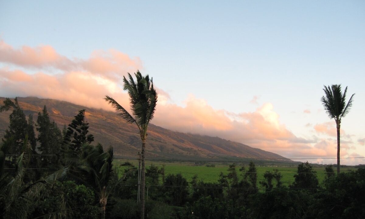 Photo of Others in Maalaea