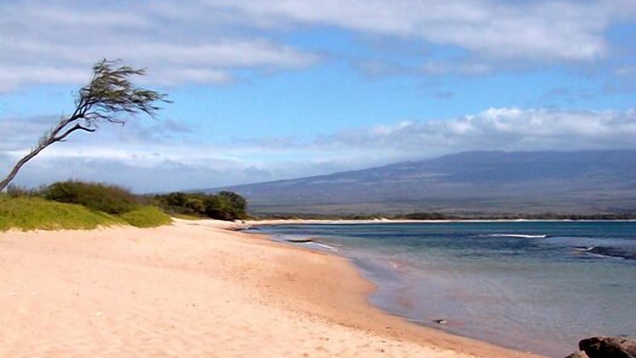 Photo of Others in Maalaea