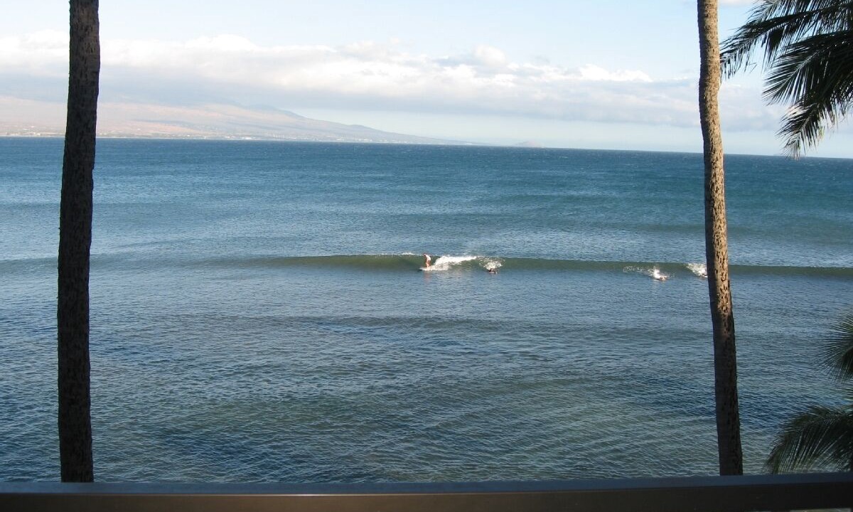 Photo of Others in Maalaea