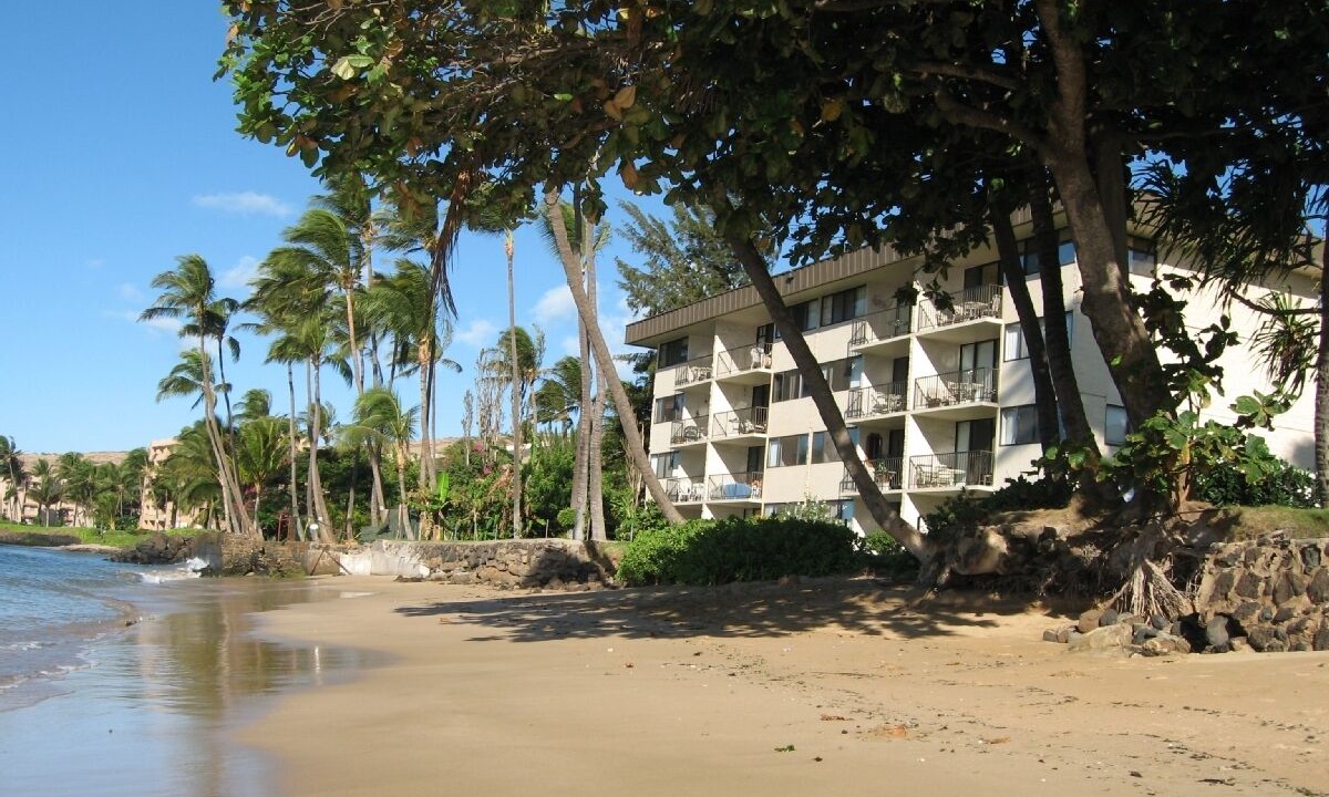 Photo of Others in Maalaea