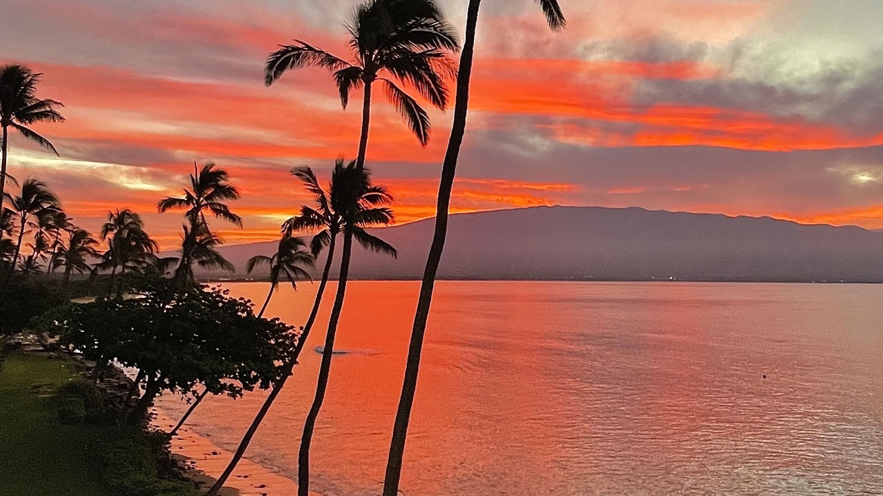 Photo of Others in Maalaea