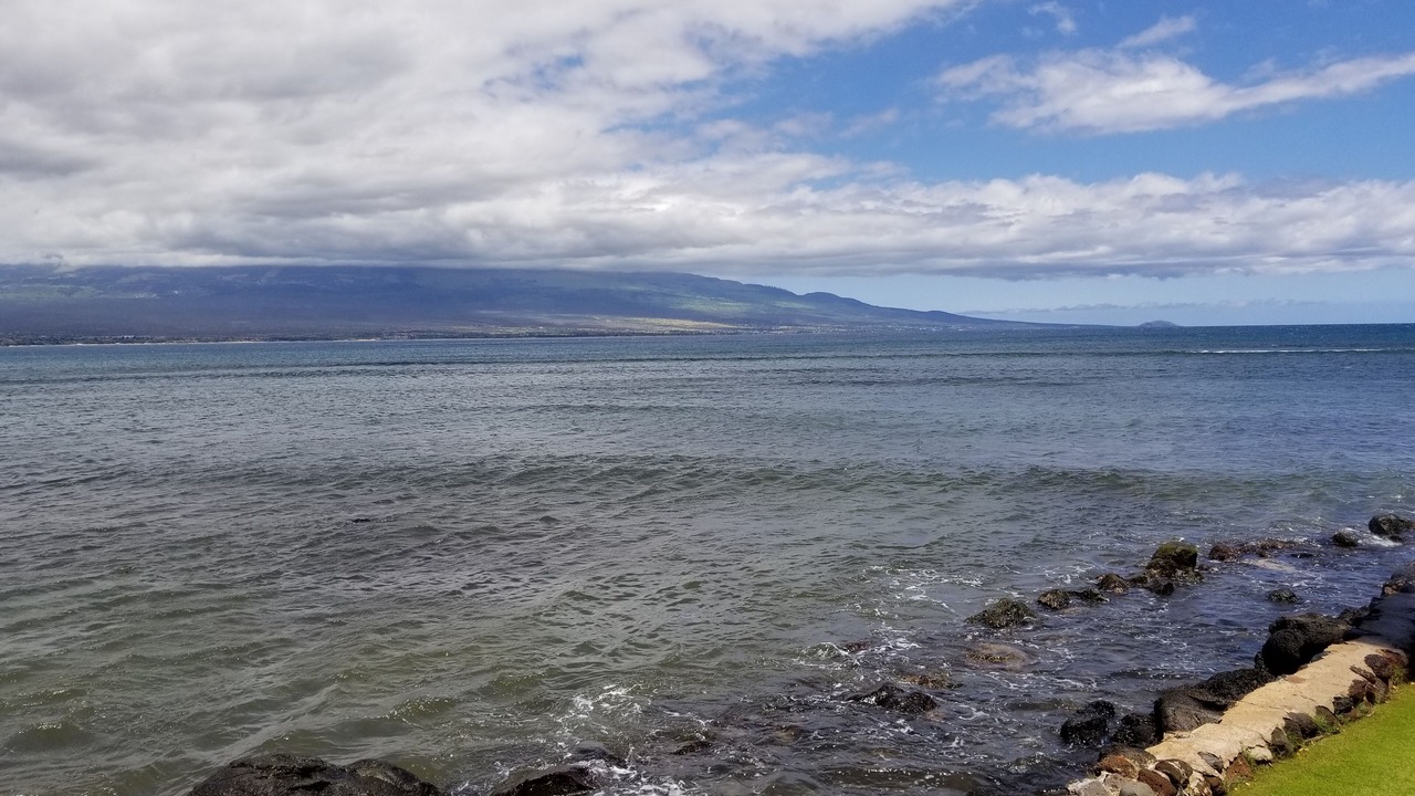 Photo of Others in Maalaea