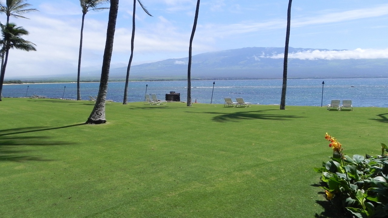 Photo of Others in Maalaea