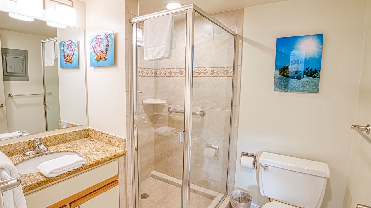 Photo of Bathroom in Honokowai