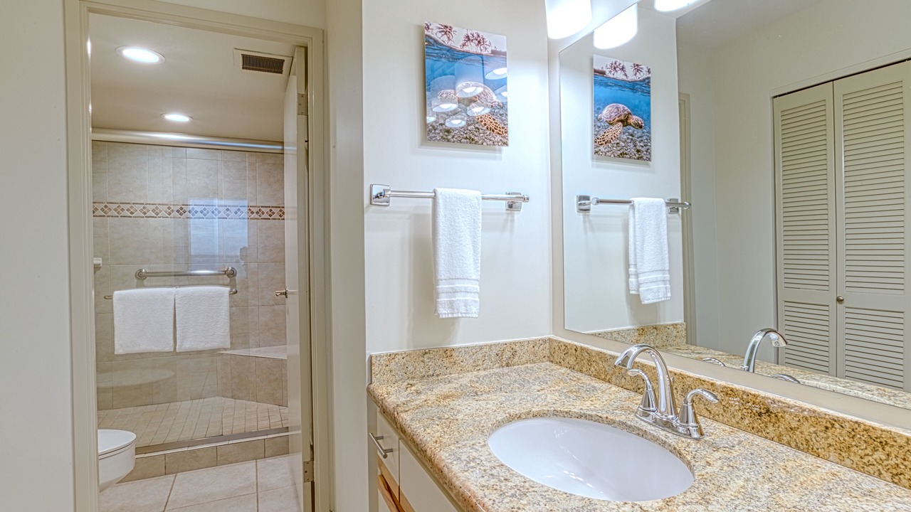 Photo of Bathroom in Honokowai
