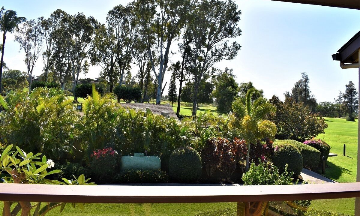 Photo of Others in Waikoloa