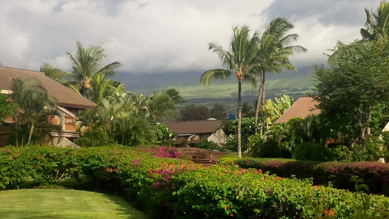 Photo of Others in Kihei