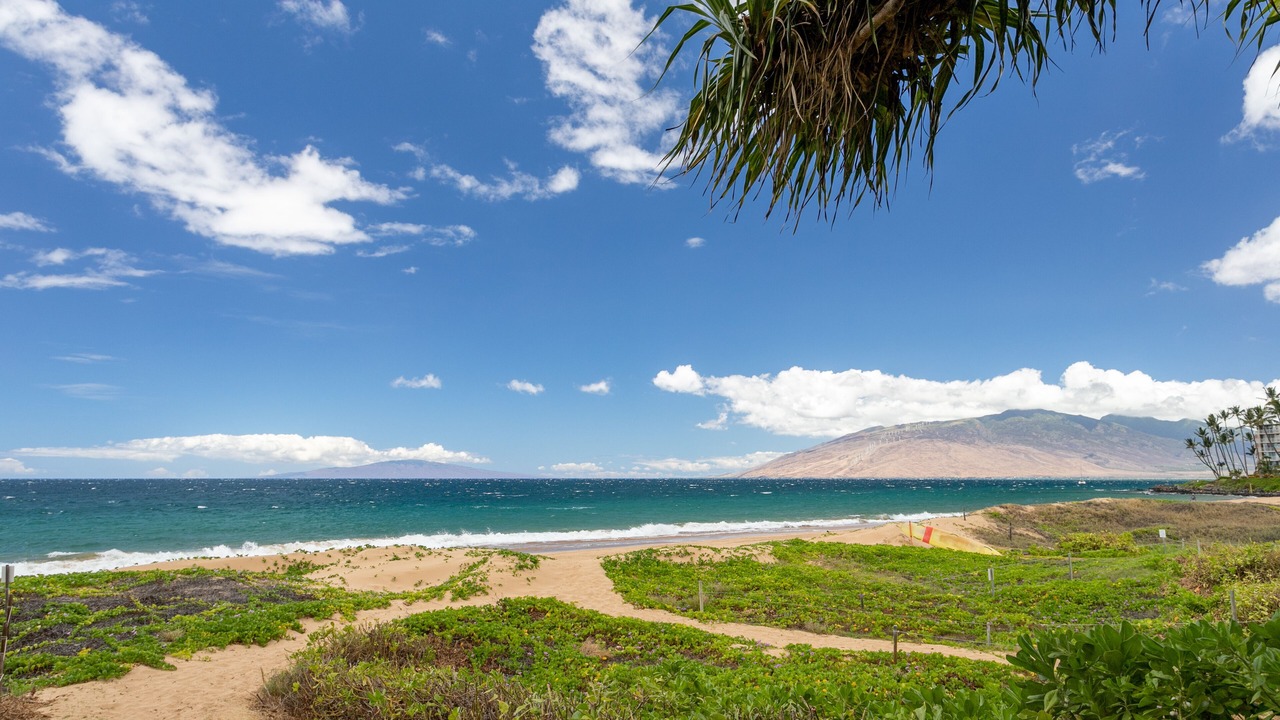 Photo of Others in Kihei