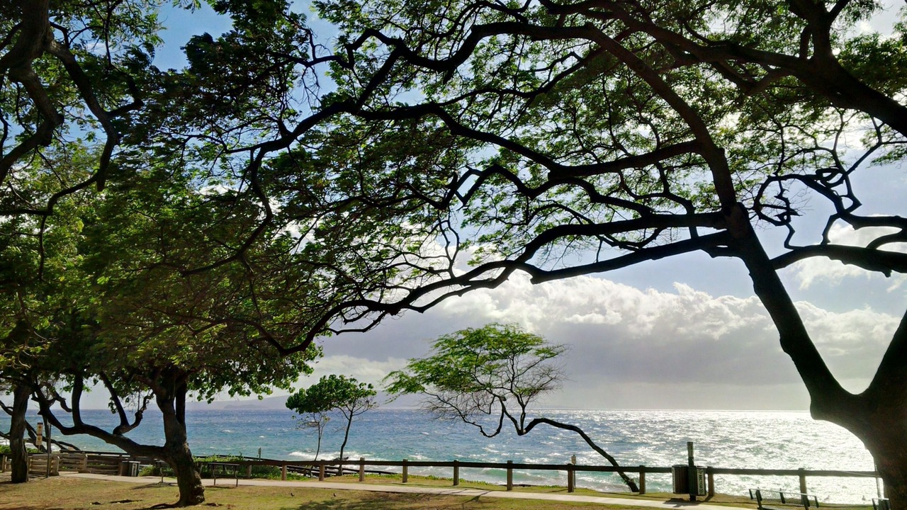 Photo of Others in Kihei