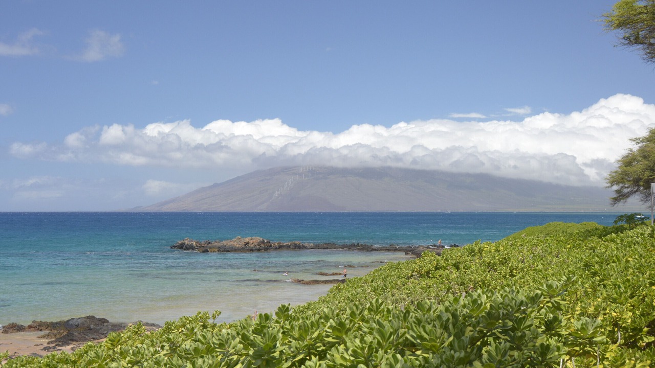 Photo of Others in Kihei