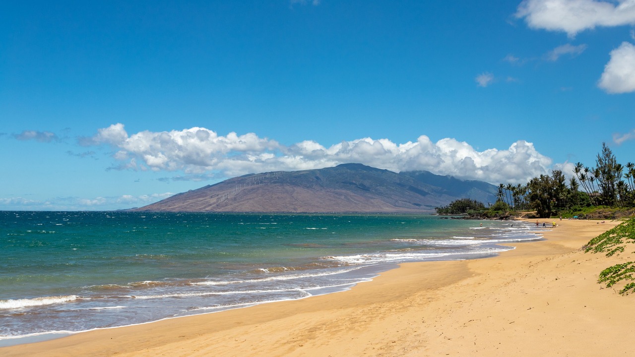 Photo of Others in Kihei