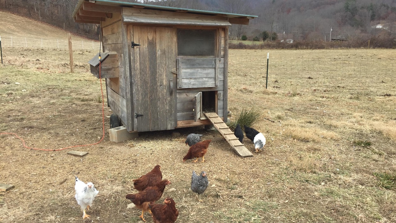 Photo of Outdoor in Weaverville