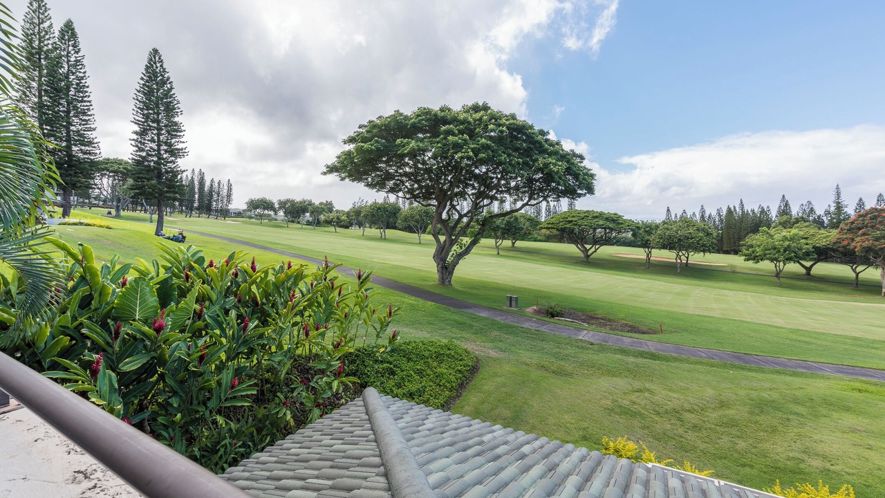 Photo of Others in Kapalua