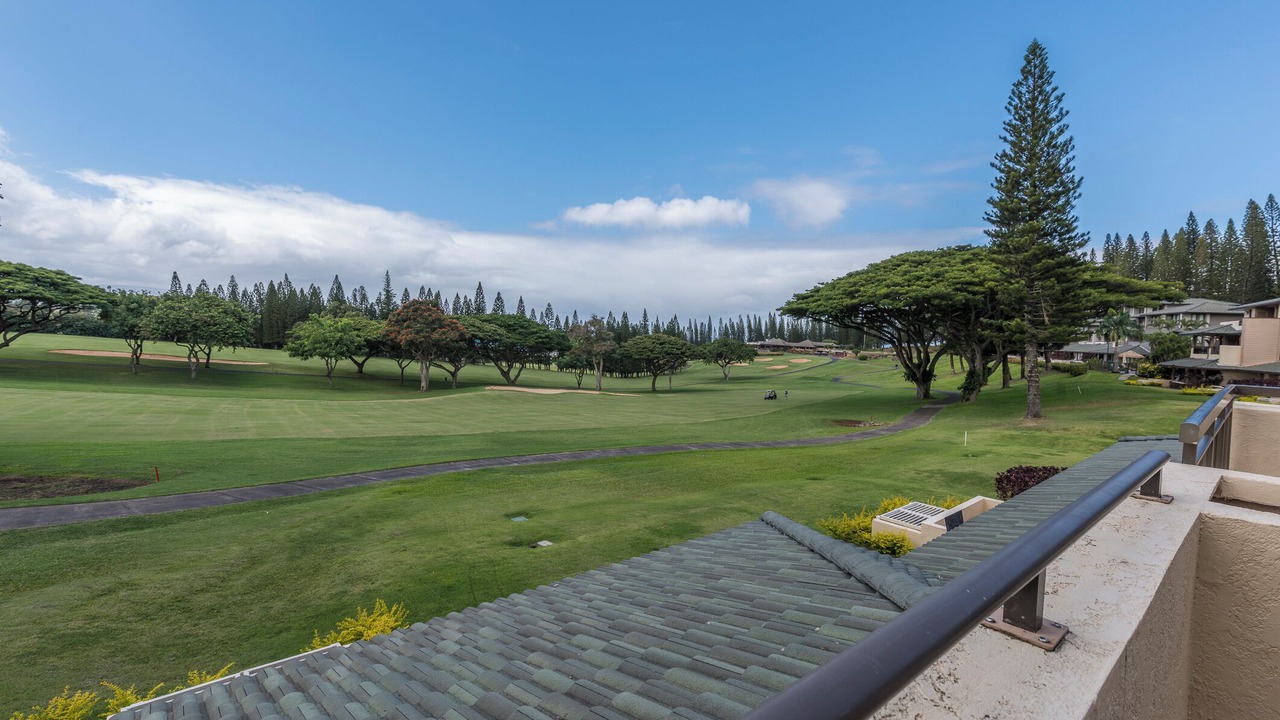 Photo of Others in Kapalua