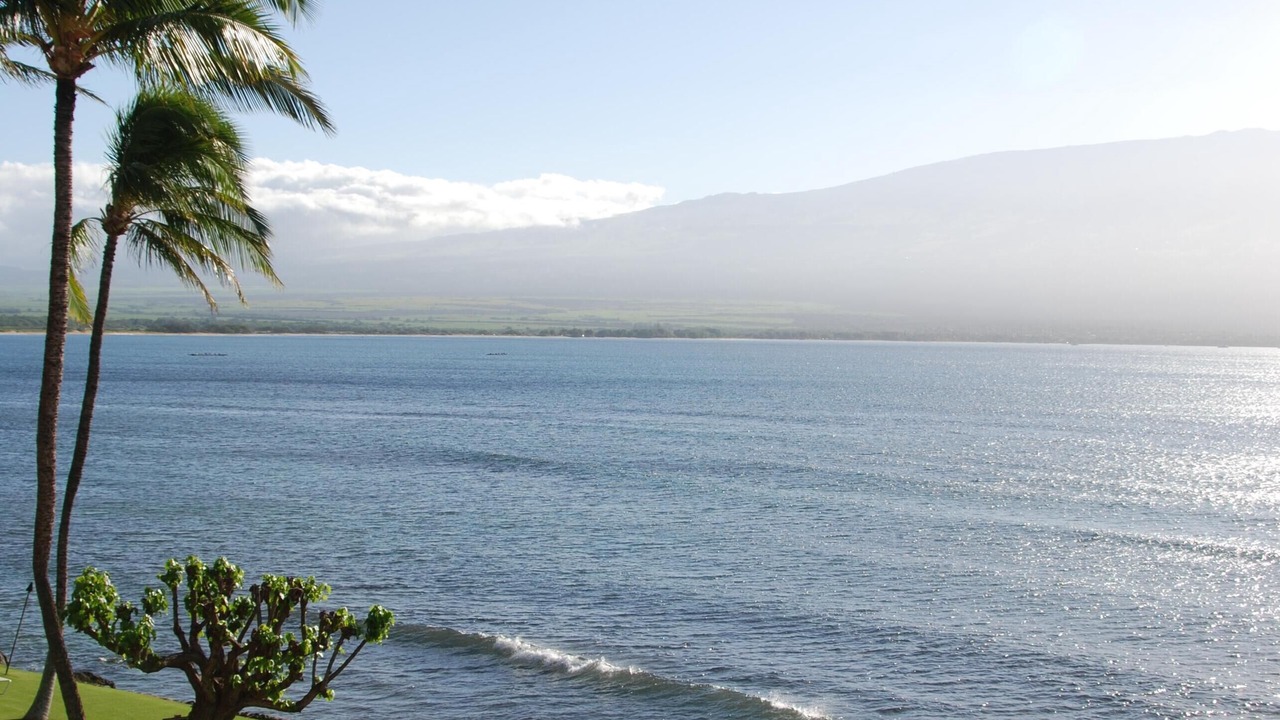 Photo of Outdoor in Maalaea