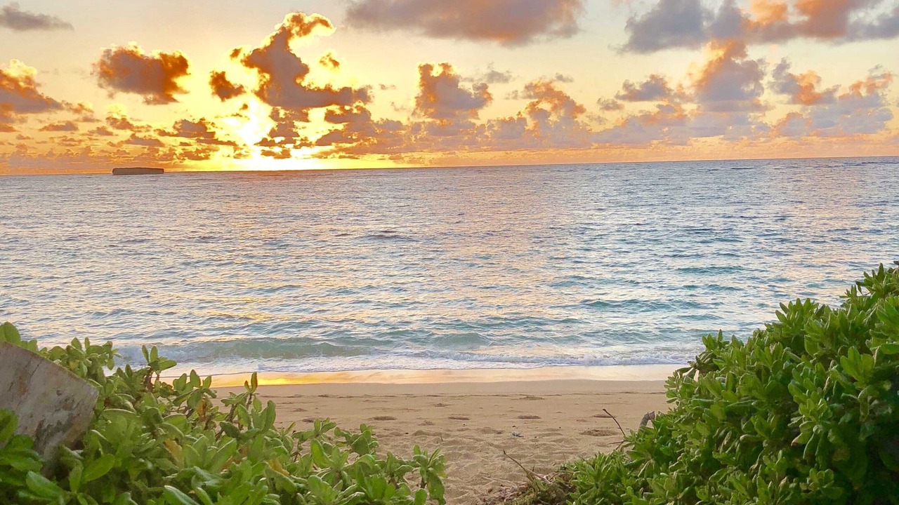 Photo of Others in Laie