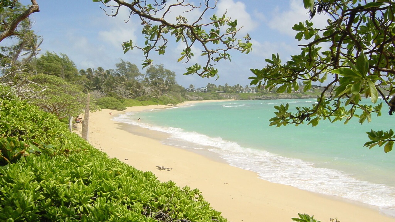 Photo of Others in Laie