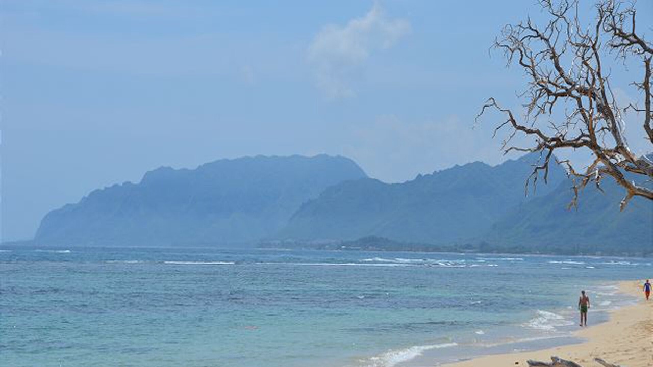 Photo of Others in Laie