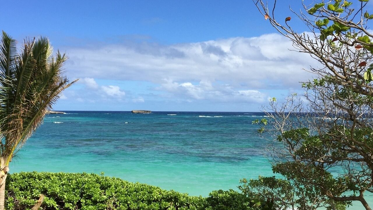 Photo of Others in Laie