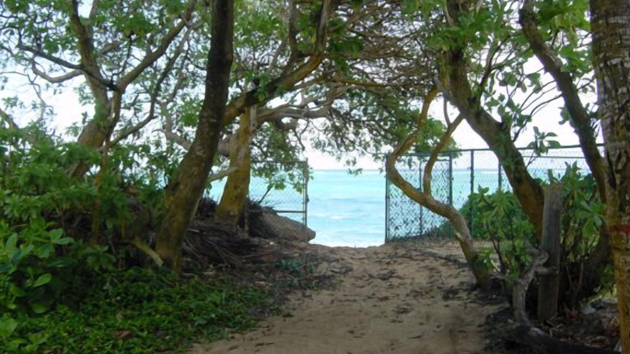 Photo of Others in Laie
