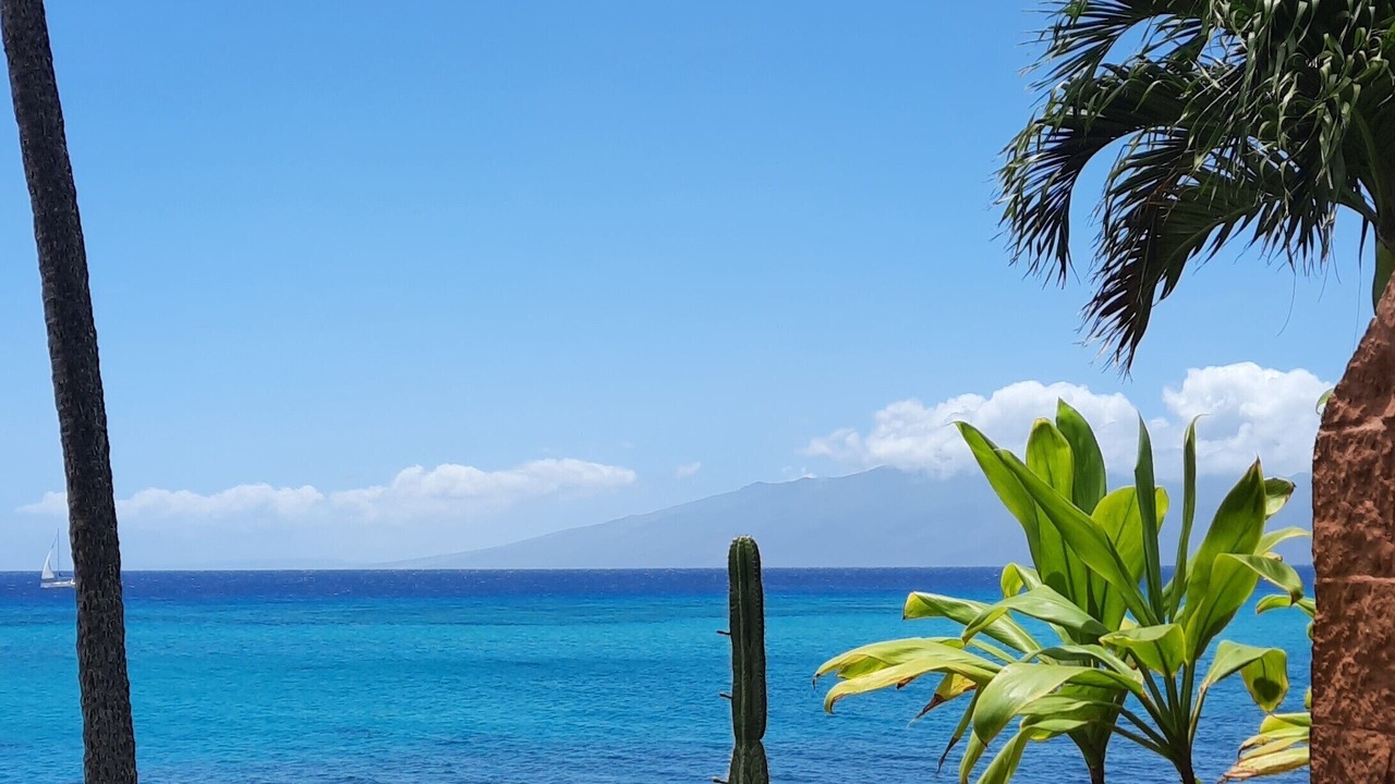 Photo of Outdoor in Honokowai