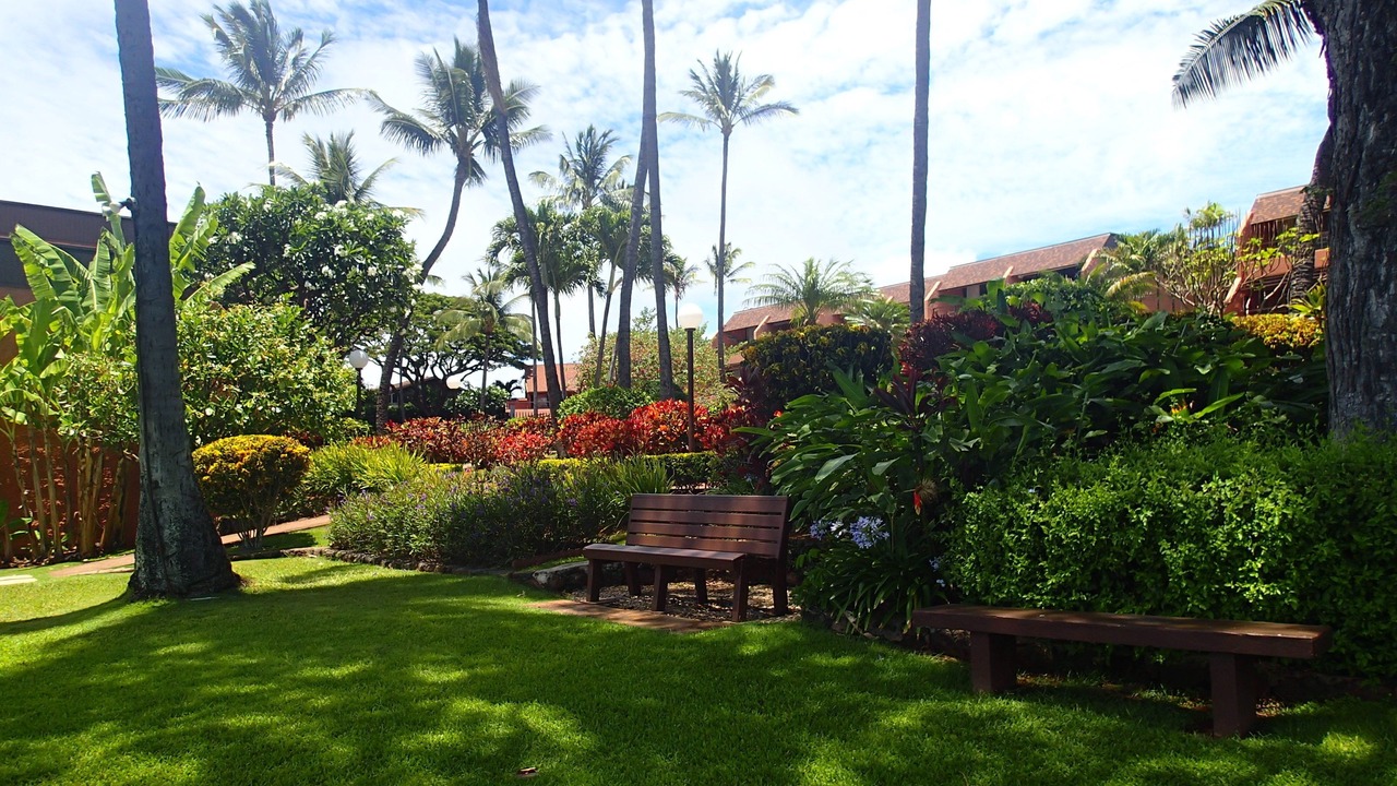 Photo of Others in Honokowai