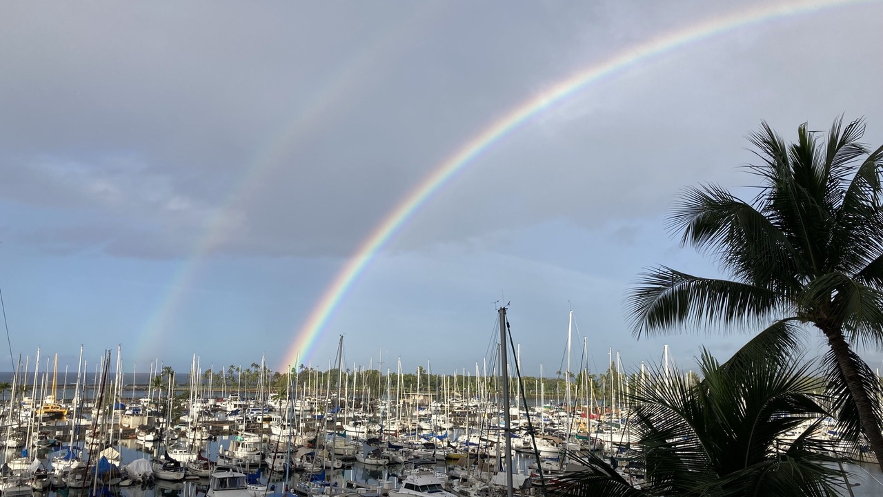 Photo of Others in Waikiki