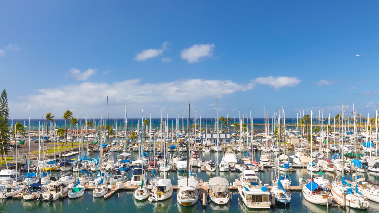 Photo of Others in Waikiki