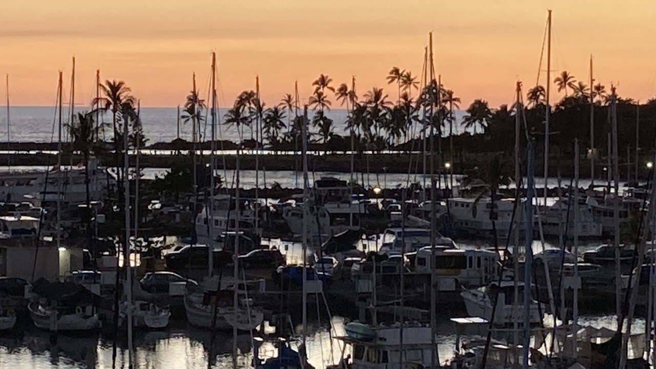 Photo of Others in Waikiki