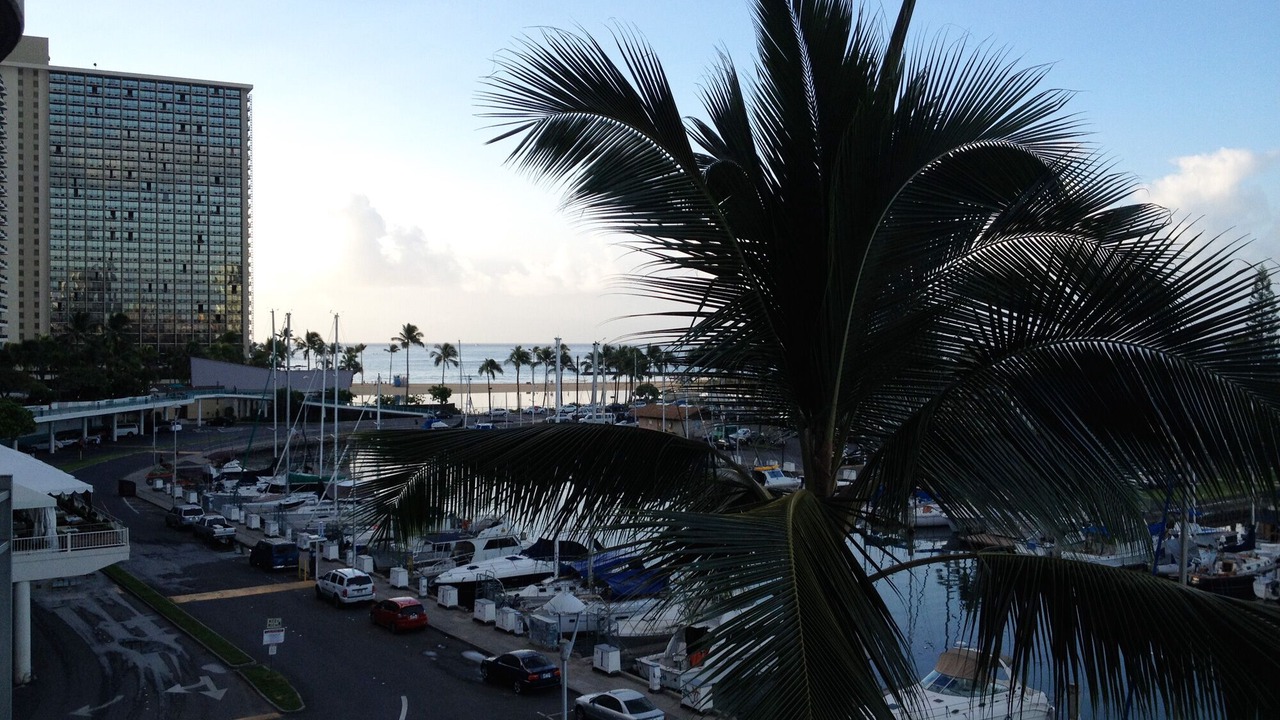 Photo of Others in Waikiki
