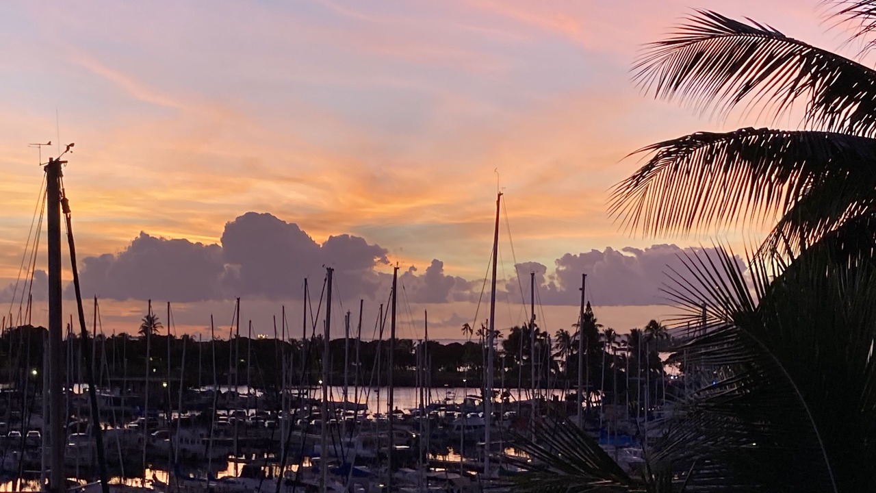 Photo of Others in Waikiki