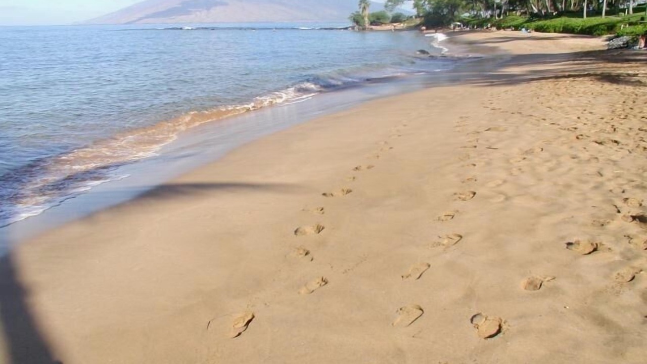 Photo of Others in Wailea