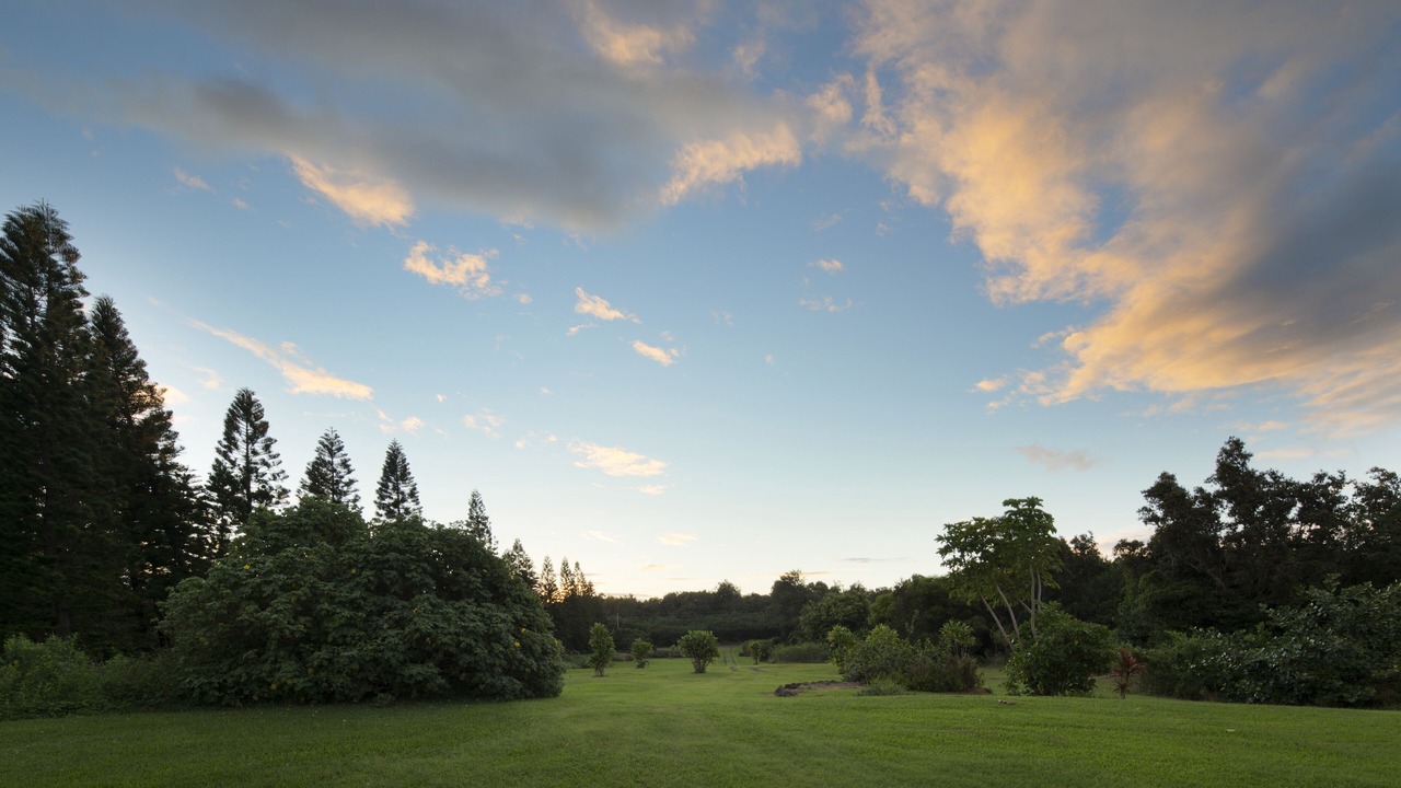 Photo of Others in Naalehu