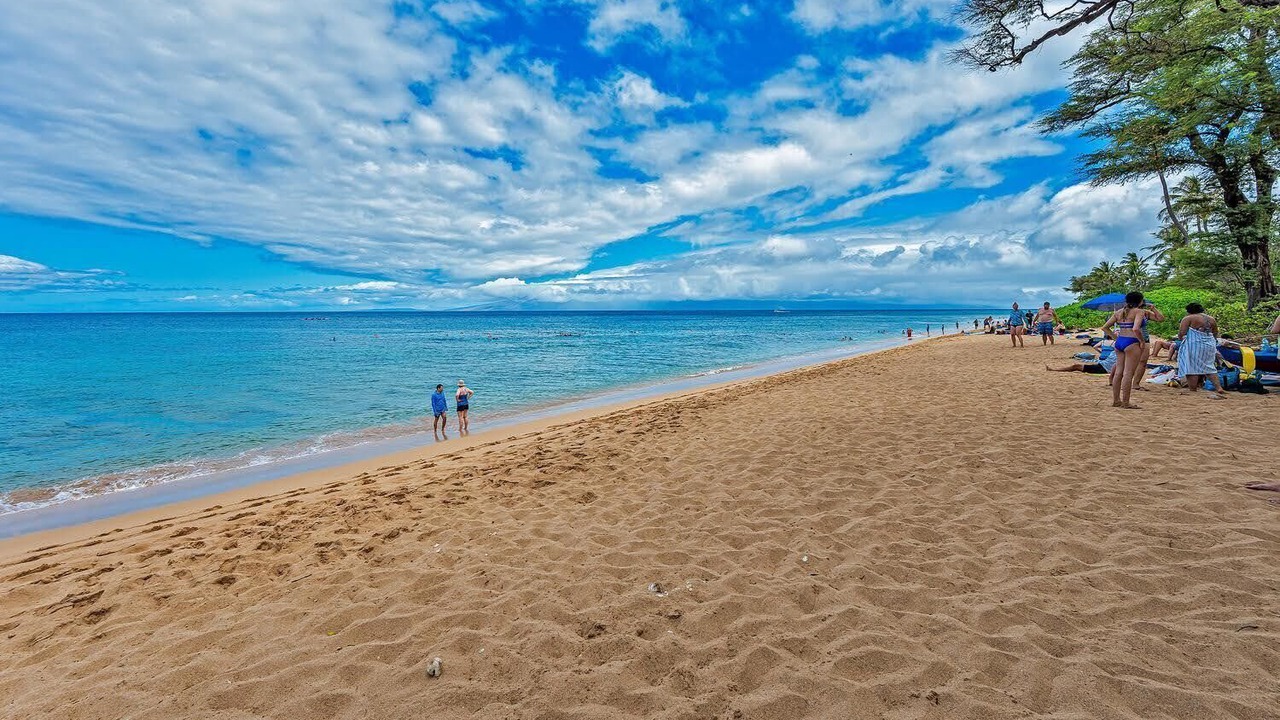 Photo of Others in Kaanapali