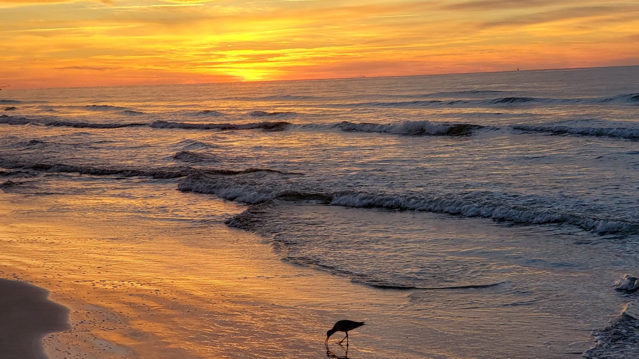 Photo of Others in West Beach