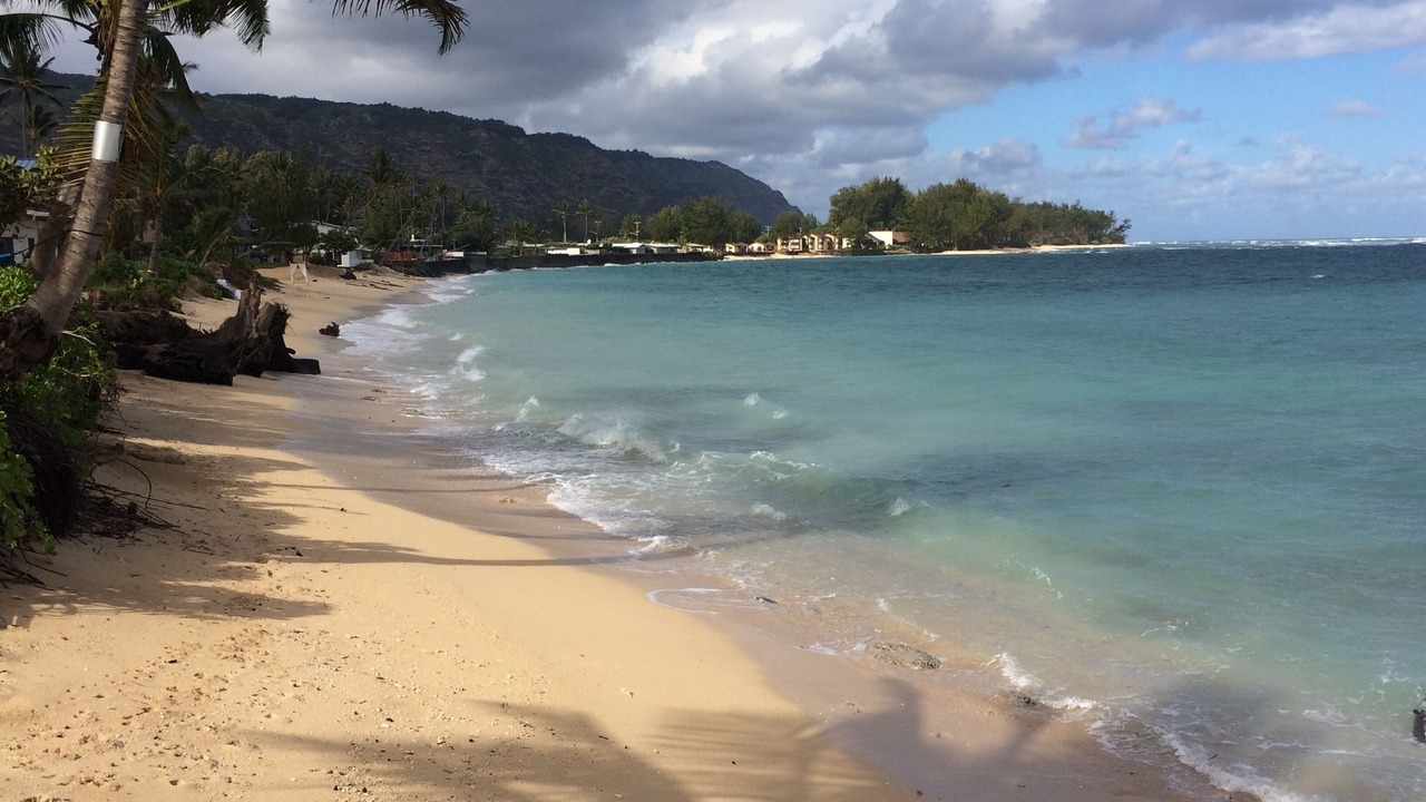 Photo of Others in Waialua