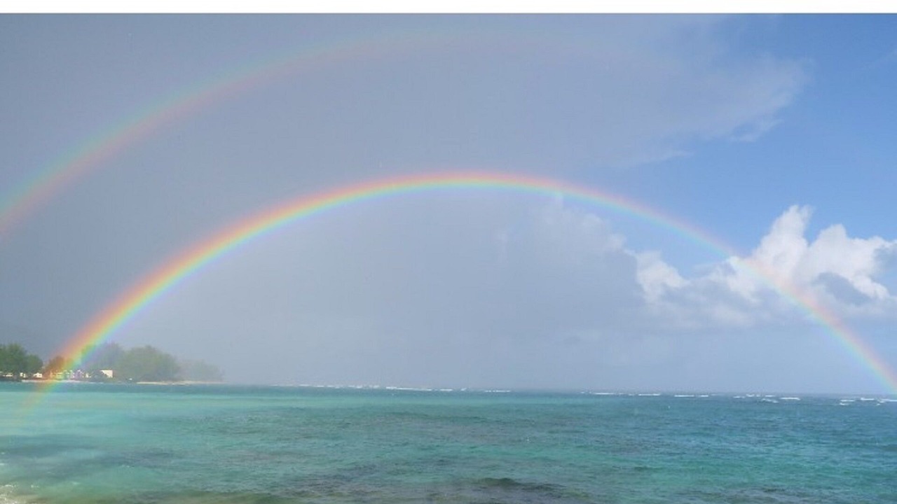 Photo of Others in Waialua
