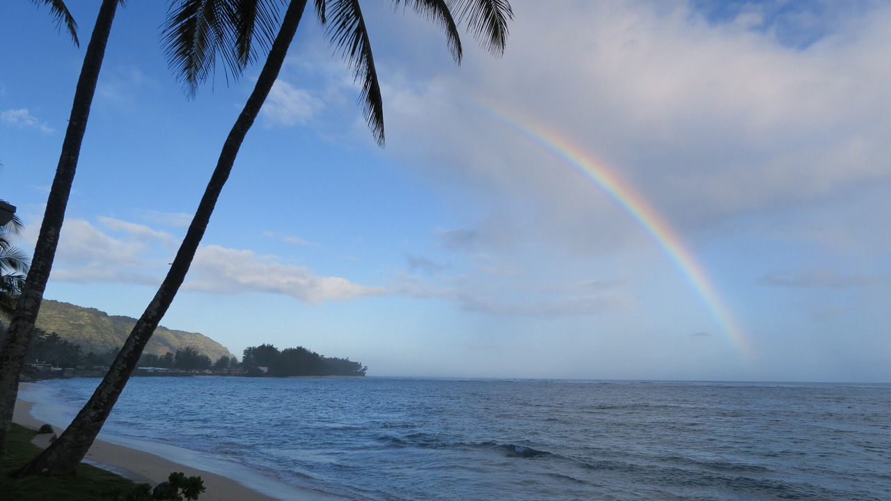 Photo of Others in Waialua
