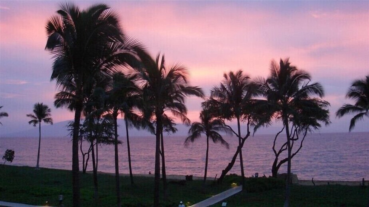 Photo of Others in Kaanapali