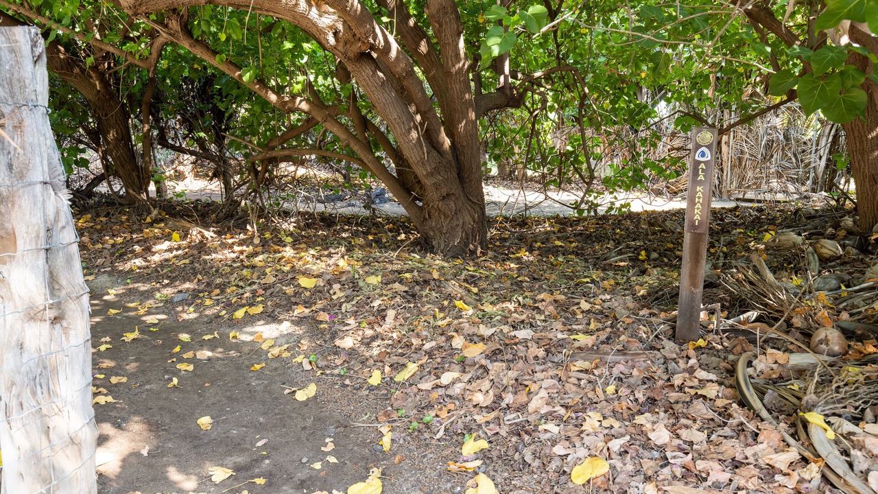 Photo of Others in Puako