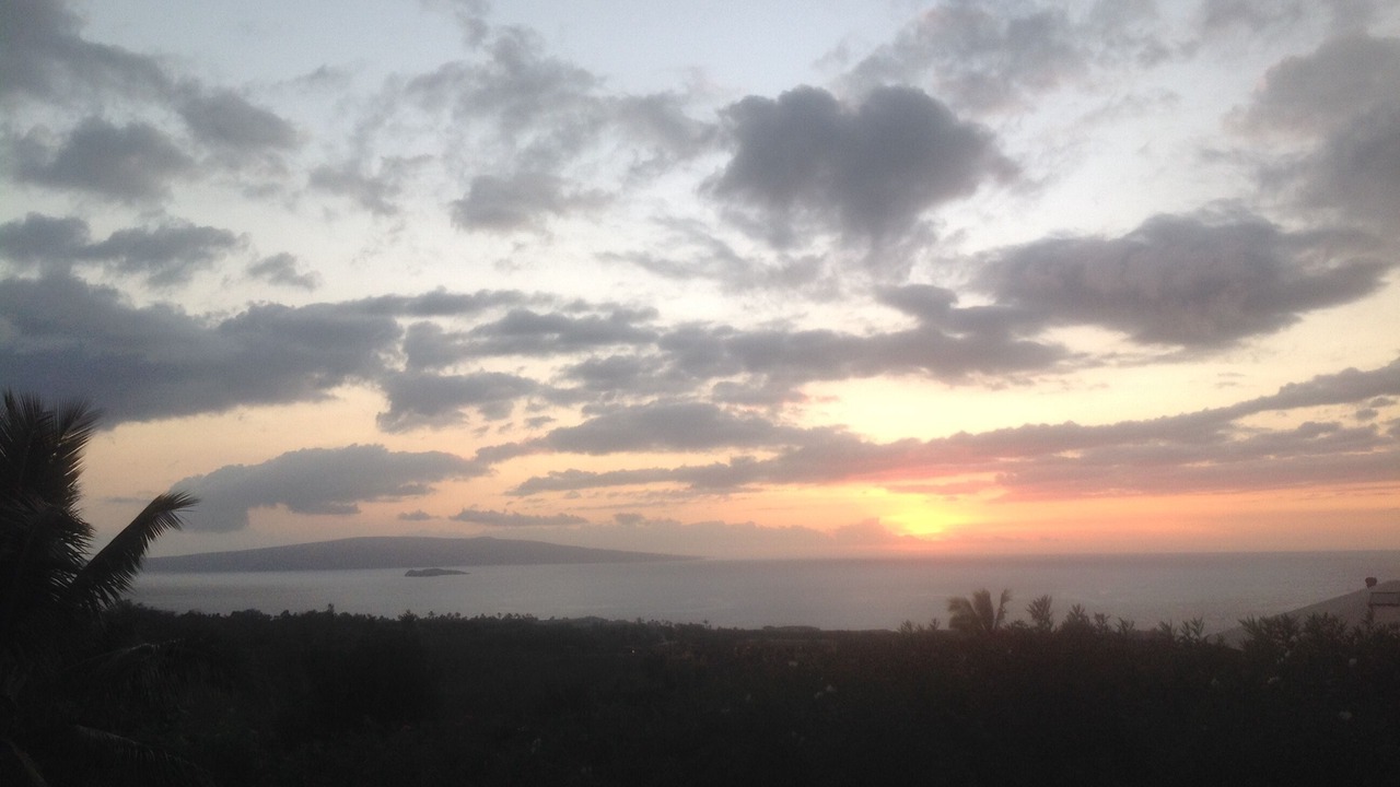 Photo of Others in Wailea