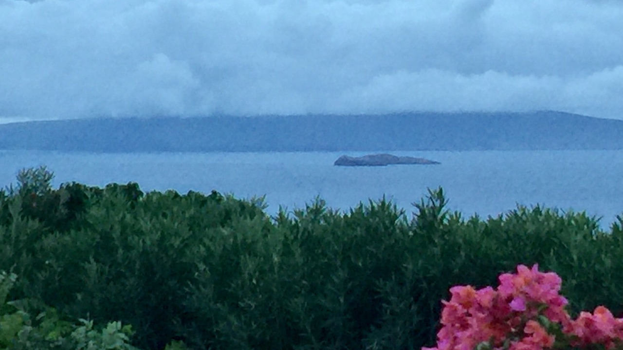 Photo of Outdoor in Wailea