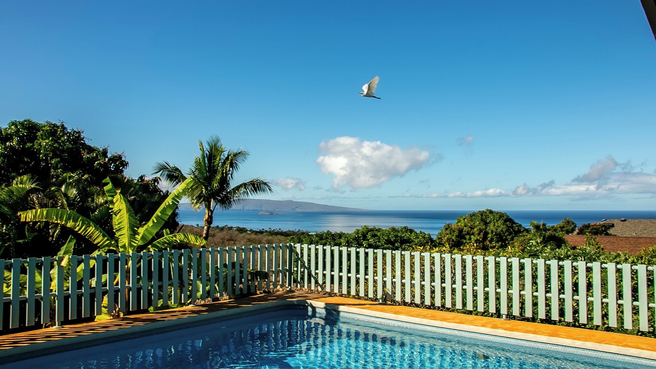 Photo of Others in Wailea