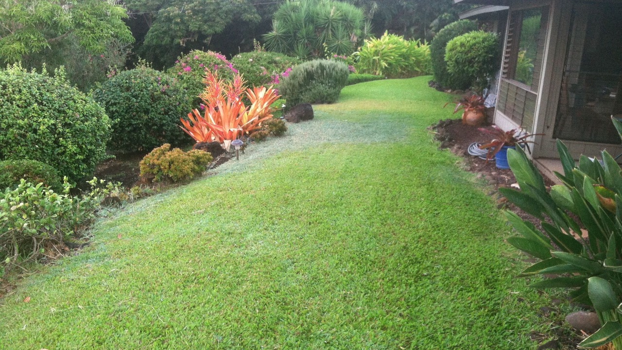 Photo of Outdoor in Wailea