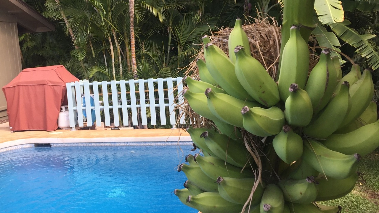 Photo of Outdoor in Wailea