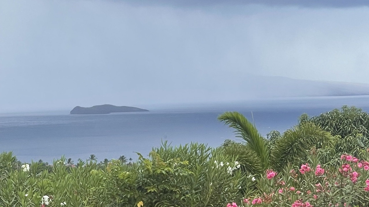 Photo of Outdoor in Wailea