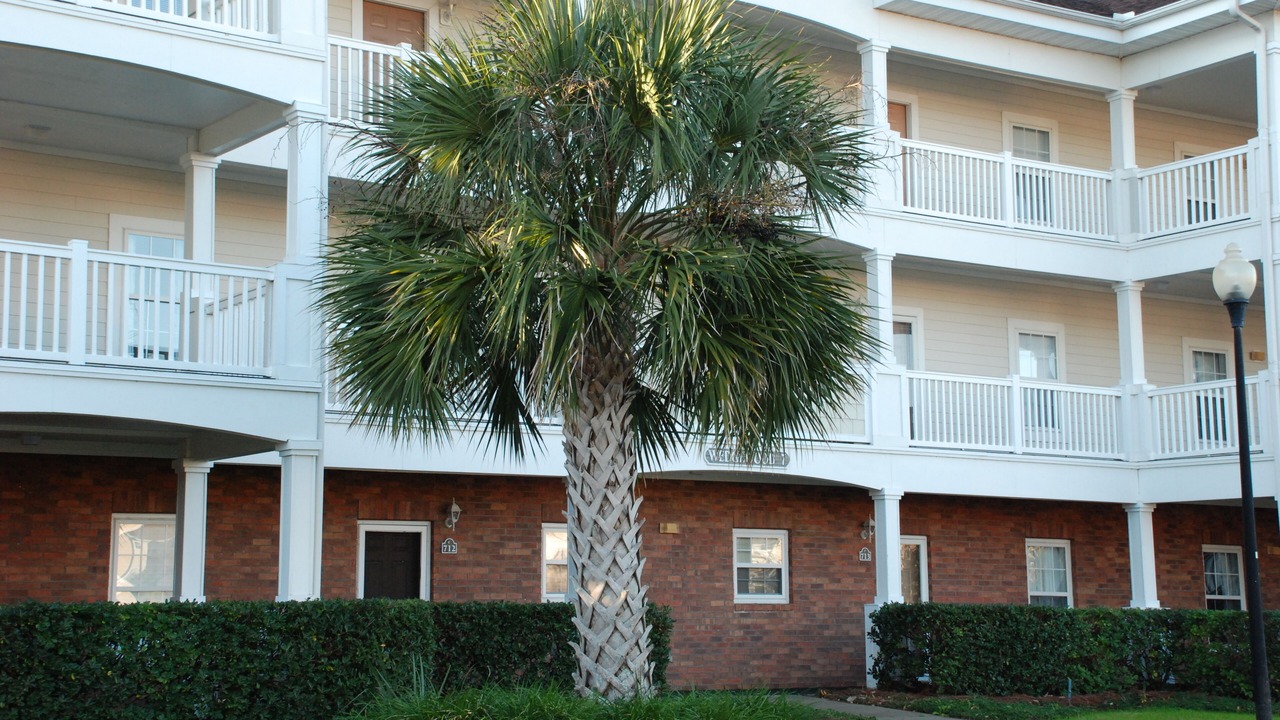 Photo of Others in North Myrtle Beach