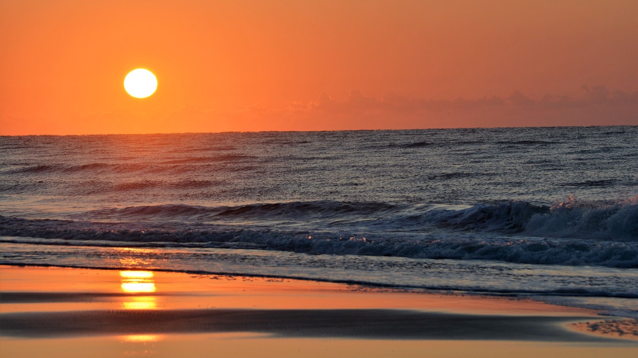 Photo of Others in North Myrtle Beach